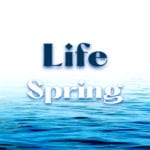 Life Spring