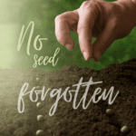 No Seed Forgotten