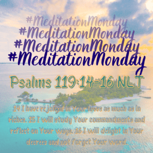 Meditation Monday - Psalms 119:14-16